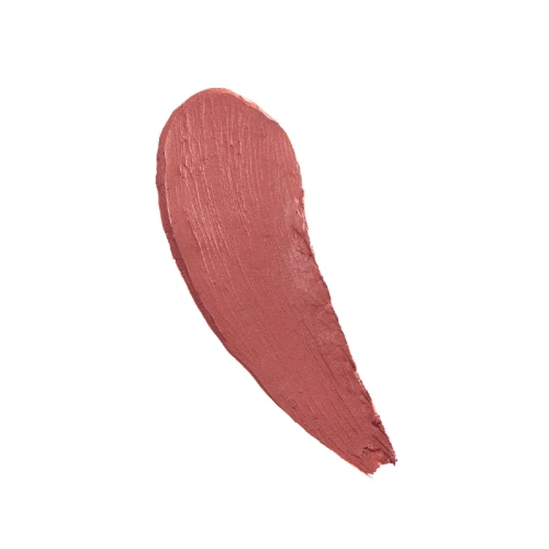 PARISA помада матовая stay matte т.05